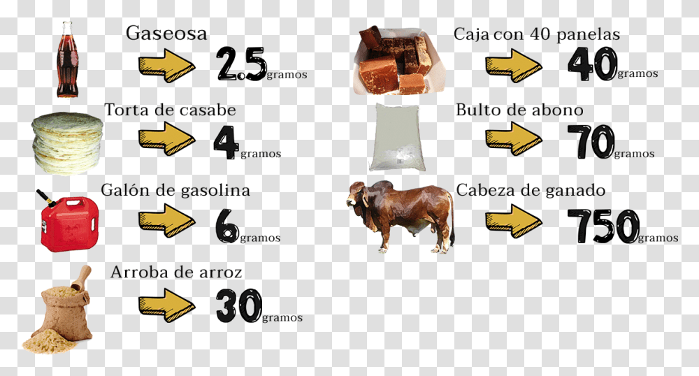 Arroba Cattle, Cow, Mammal, Animal, Bull Transparent Png