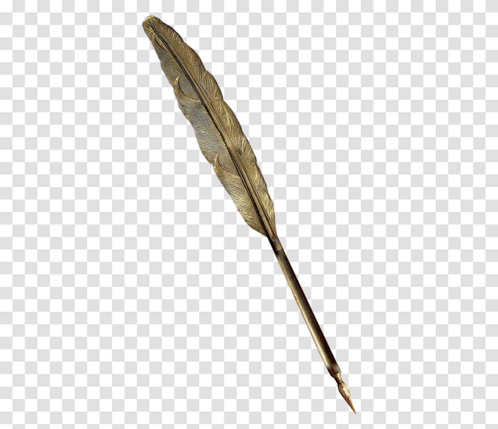 Arrow, Bird, Animal, Pen Transparent Png