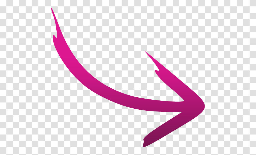 Arrow Doodle Pink & Free Pinkpng Background Pink Arrow, Symbol, Plant, Text, Graphics Transparent Png