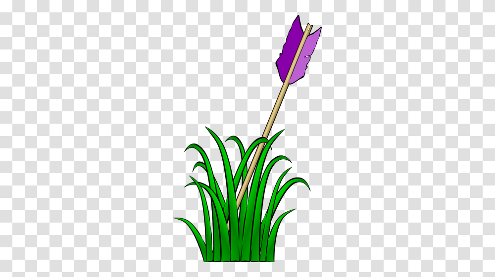 Arrow In The Grass Vector Illustration, Plant, Flower, Blossom, Weapon Transparent Png