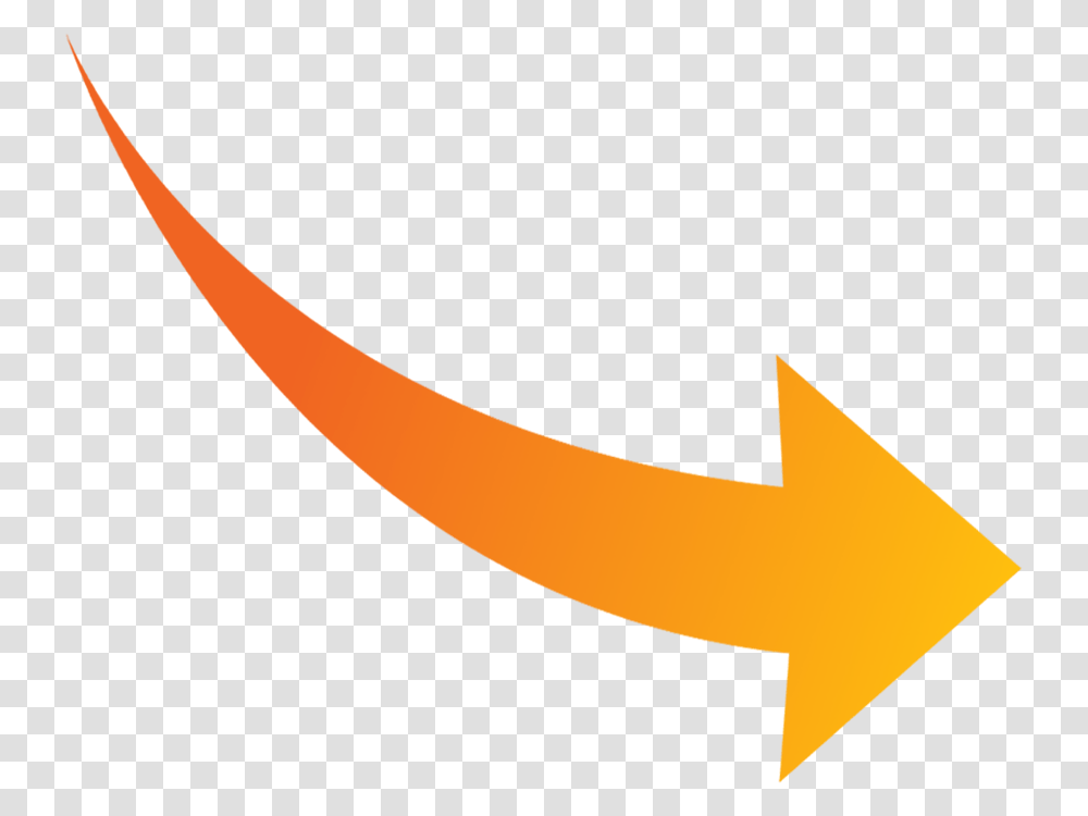 Arrow Increasing In Size, Plant, Food, Fire, Meal Transparent Png
