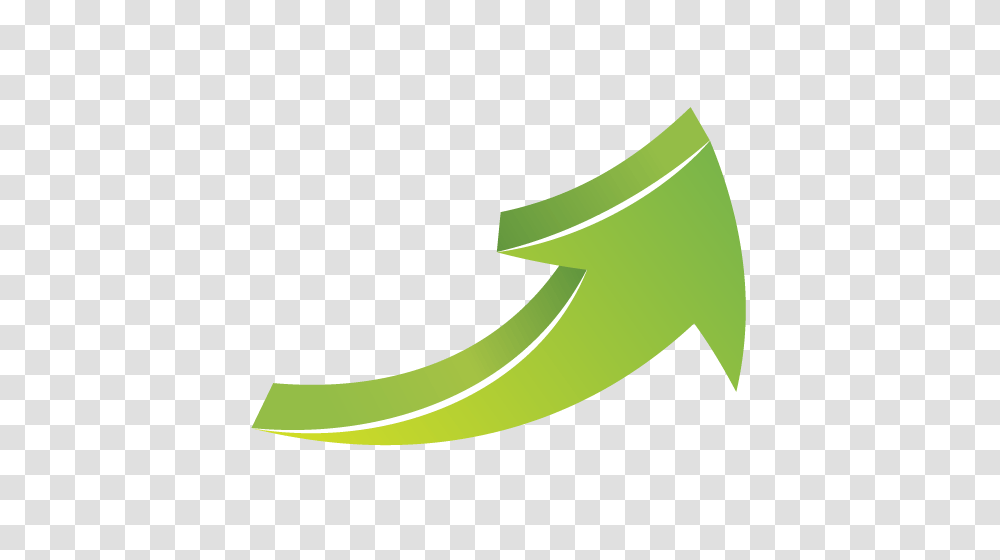 Arrow Pictures, Axe, Tool, Plant, Green Transparent Png