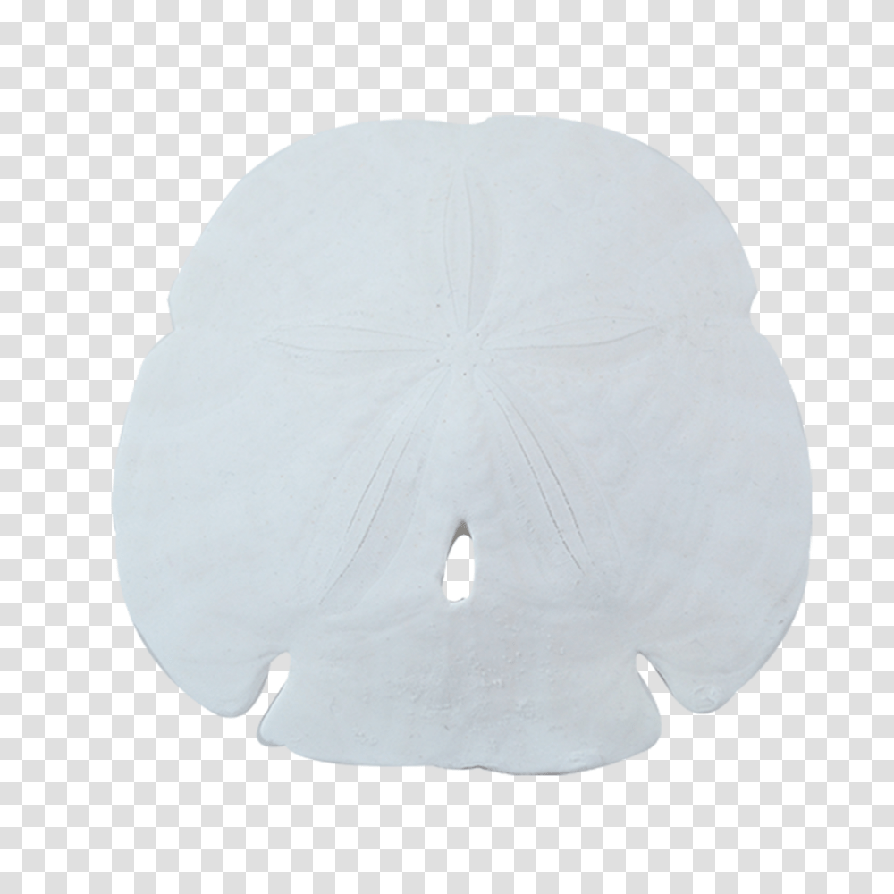 Arrowhead Sand Dollar, Diaper, Apparel, Cushion Transparent Png