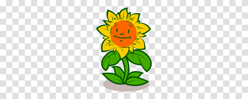 Art Emotion, Plant, Flower, Blossom Transparent Png