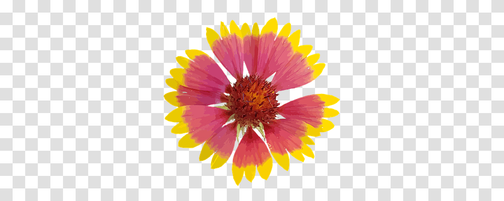 Art Plant, Pollen, Anther, Flower Transparent Png