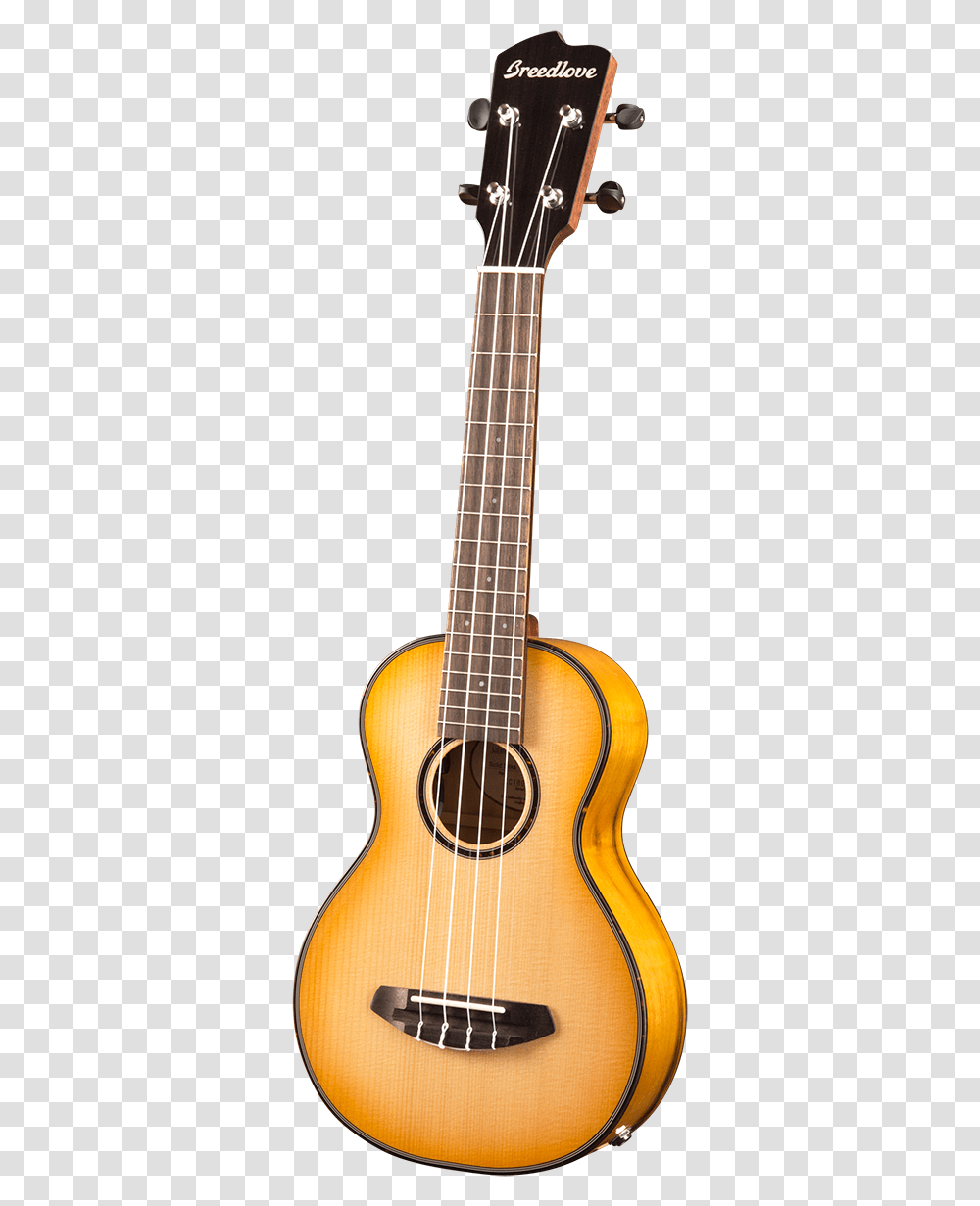 Art And Lutherie Parlour Guitar, Leisure Activities, Musical Instrument, Bass Guitar, Lute Transparent Png