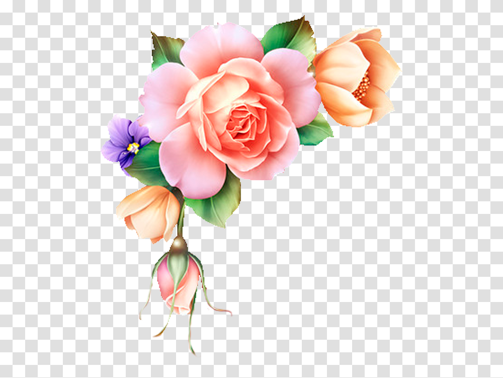 Art Background Flower Design, Plant, Floral Design, Pattern Transparent Png