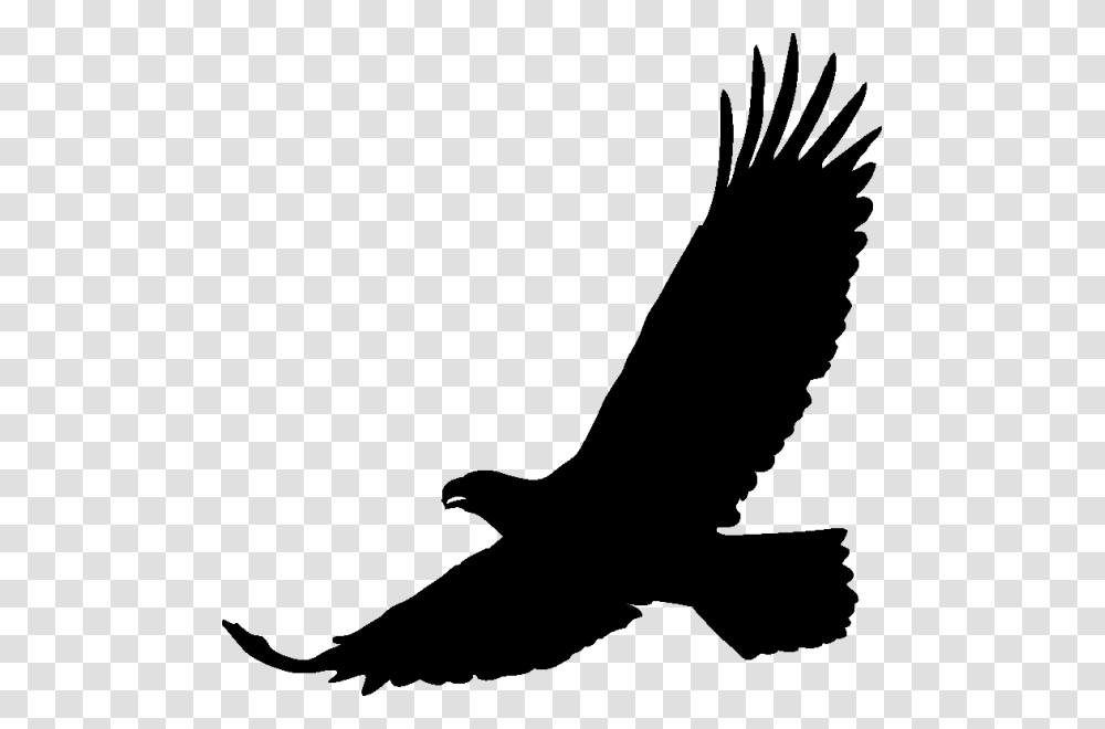 Art Black Eagle Transprent Free Download Stickers Aigle, Gray, World Of Warcraft, Outdoors Transparent Png