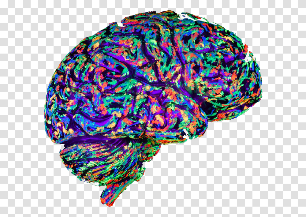 Art Brain Background Euphoria In The Brain, Pattern, Animal, Architecture, Building Transparent Png