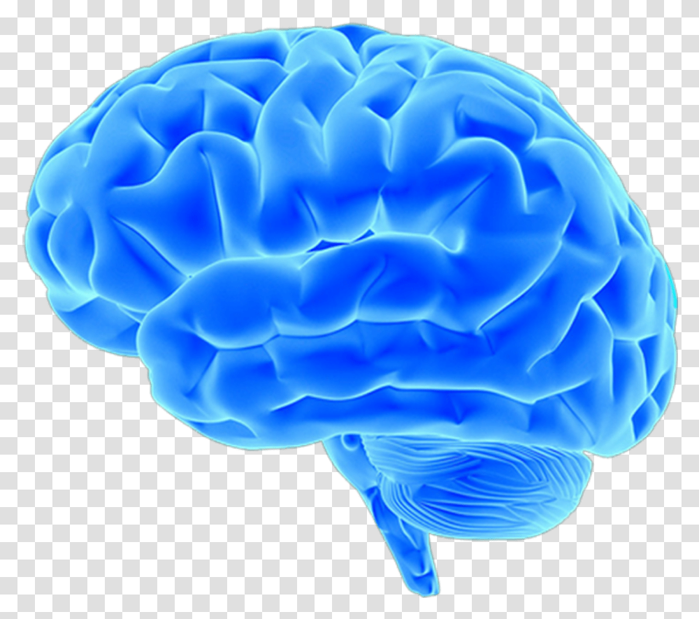 Синий мозг