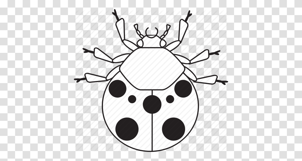 Art Bug Bugs Bw Graphic Insect Ladybug Icon, Stencil, Invertebrate, Animal, Ceiling Fan Transparent Png