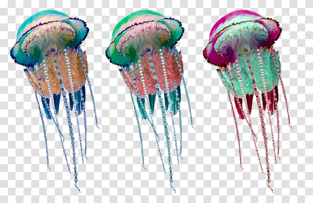 Art Experiment Jellyfish On Behance Jellyfish, Invertebrate, Sea Life, Animal Transparent Png