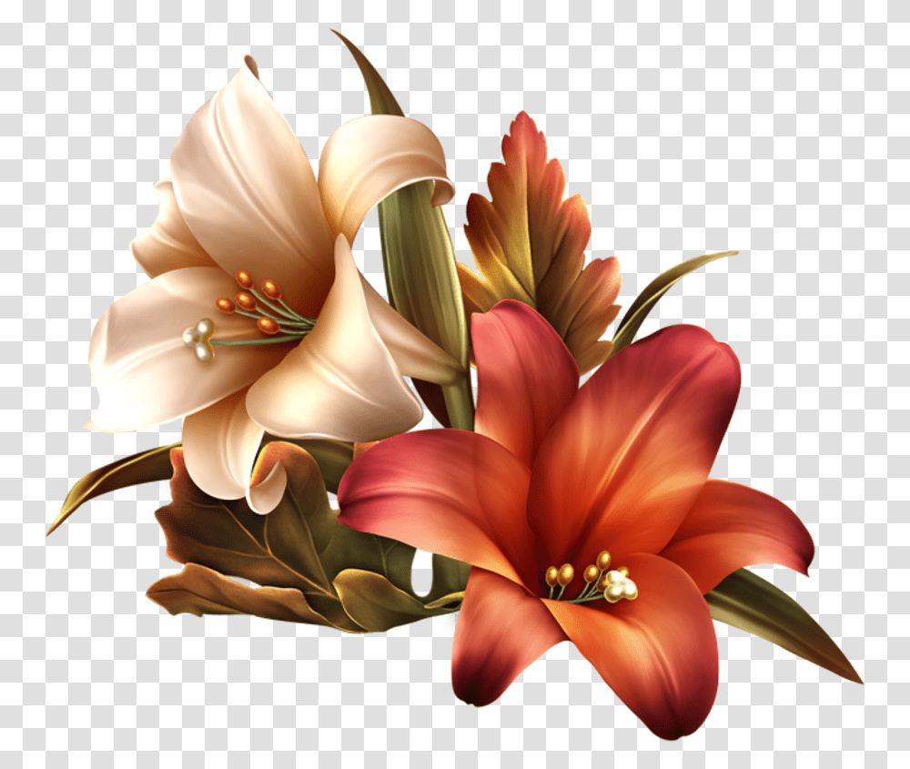 Art Flowers Amaryllis Drawing, Plant, Blossom, Lily, Flower Arrangement Transparent Png