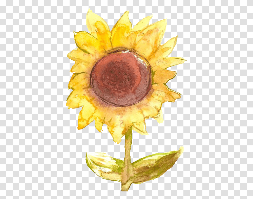 Art Flowers Yellow Sunflower Sunflower, Plant, Peel, Tree, Pollen Transparent Png