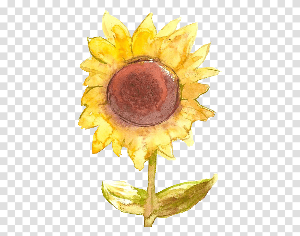 Art Flowers Yellow Sunflower Trans Parent • Portable Network Graphics, Plant, Peel, Tree, Pollen Transparent Png