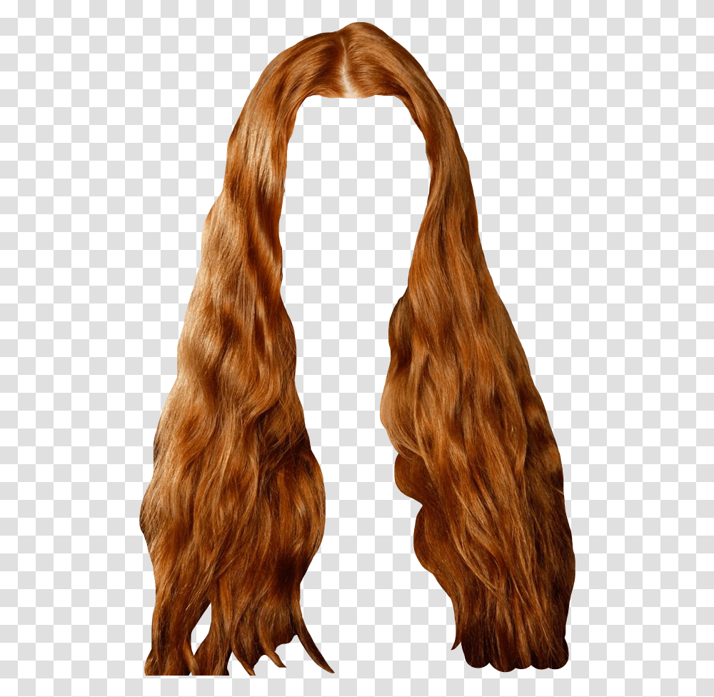 Art Hair Design, Wig, Horse, Mammal, Animal Transparent Png