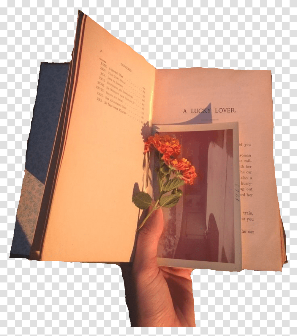 Art Hoe Aesthetic Pngs, Book, Person, Human, Plant Transparent Png