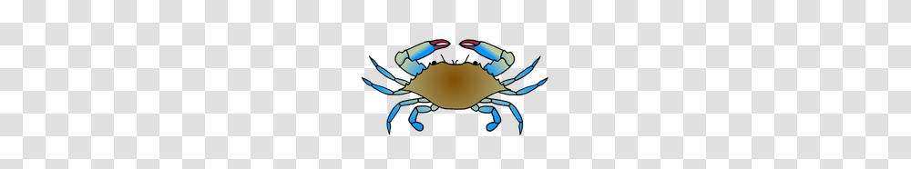 Art Illustration, Crab, Seafood, Sea Life, Animal Transparent Png