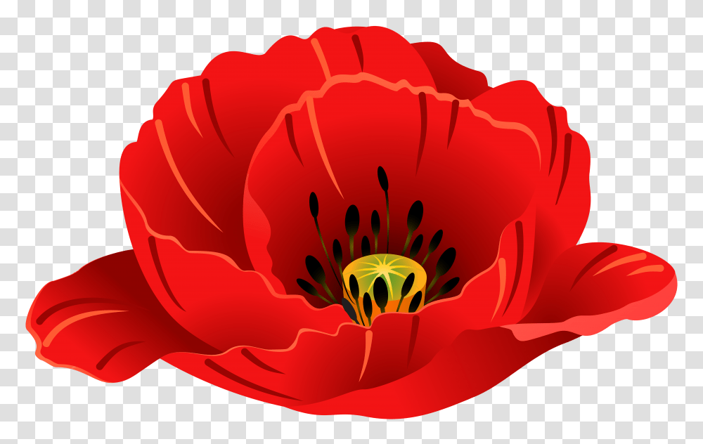 Art Images Poppies Clip Single Poppy Flower Cartoon Background, Plant, Blossom, Pollen, Pond Lily Transparent Png