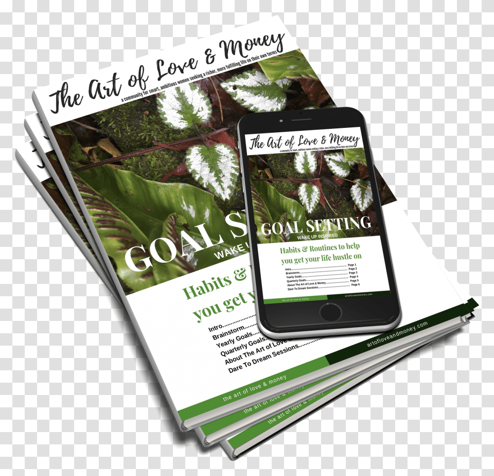 Art Of Love And Money Goal Setting Flyer, Poster, Paper, Advertisement, Brochure Transparent Png