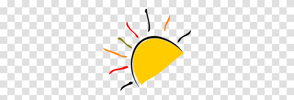 Art Of Sun Logo Art Of Sun Logo Images, Plant, Flower, Blossom, Seed Transparent Png