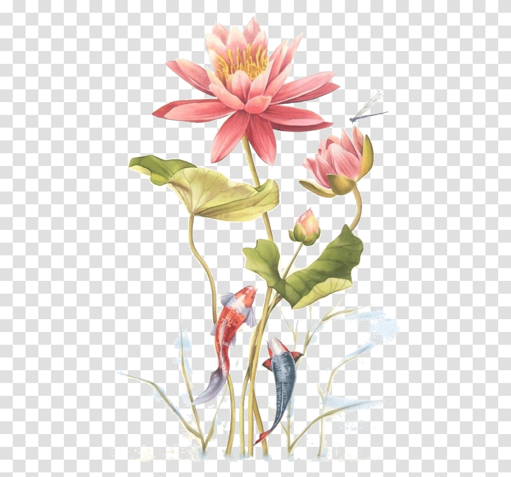 Art, Plant, Flower, Blossom, Petal Transparent Png