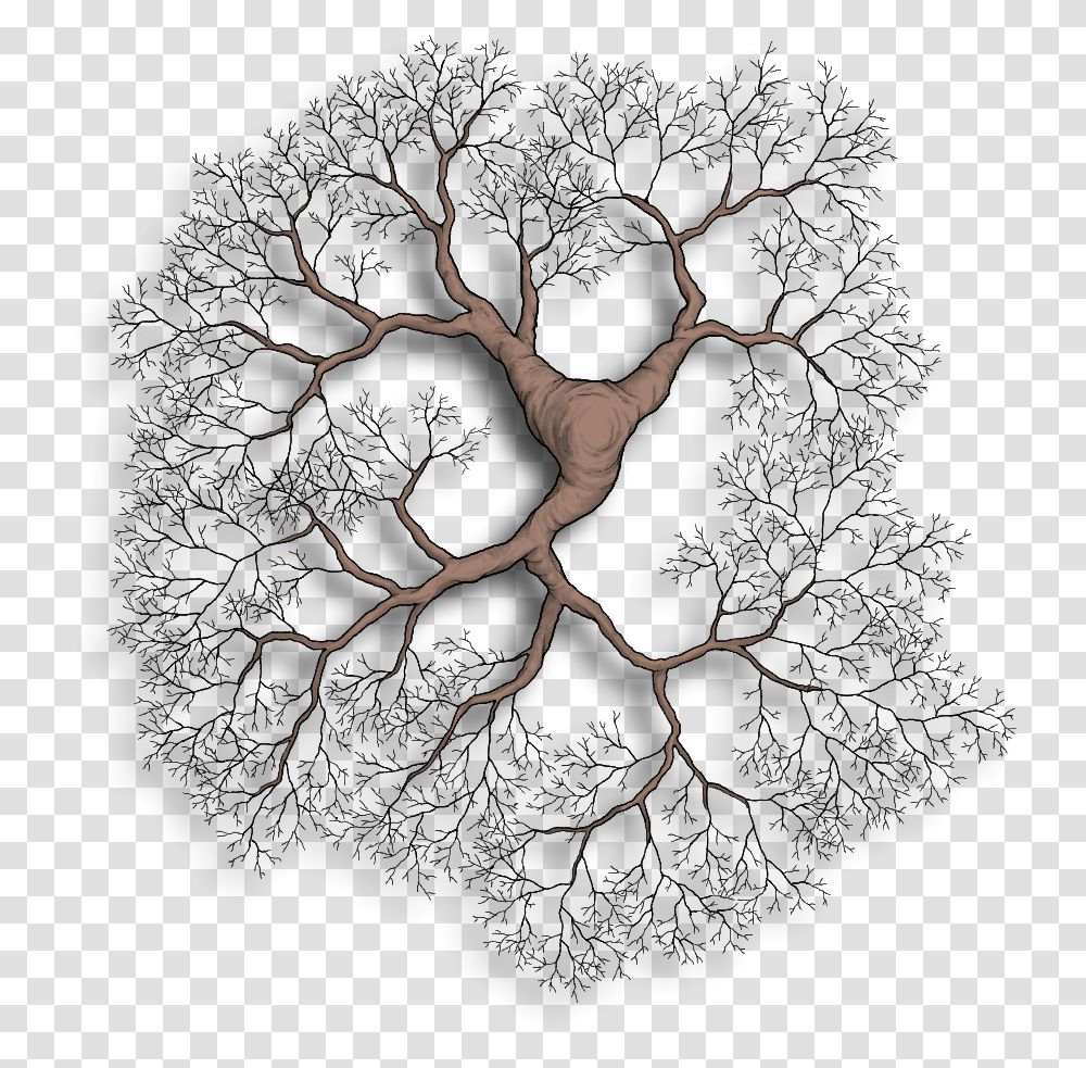 Art, Plant, Root, Spider, Invertebrate Transparent Png