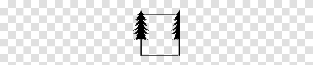 Art Redwood Tree Clip Art, Plant, Lighting, Fir, Ornament Transparent Png