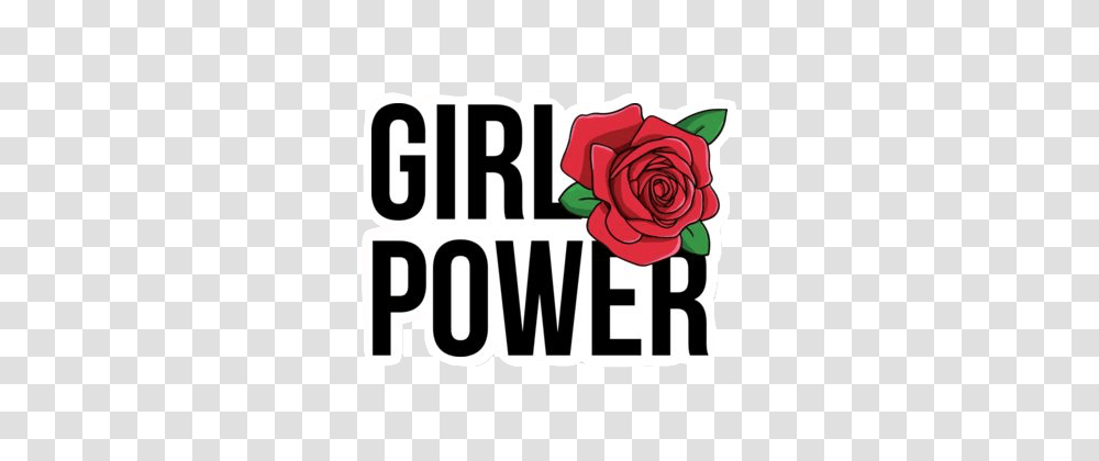 Art Tumblr Girlpower Edit Sticker Madewith, Plant, Rose, Flower Transparent Png