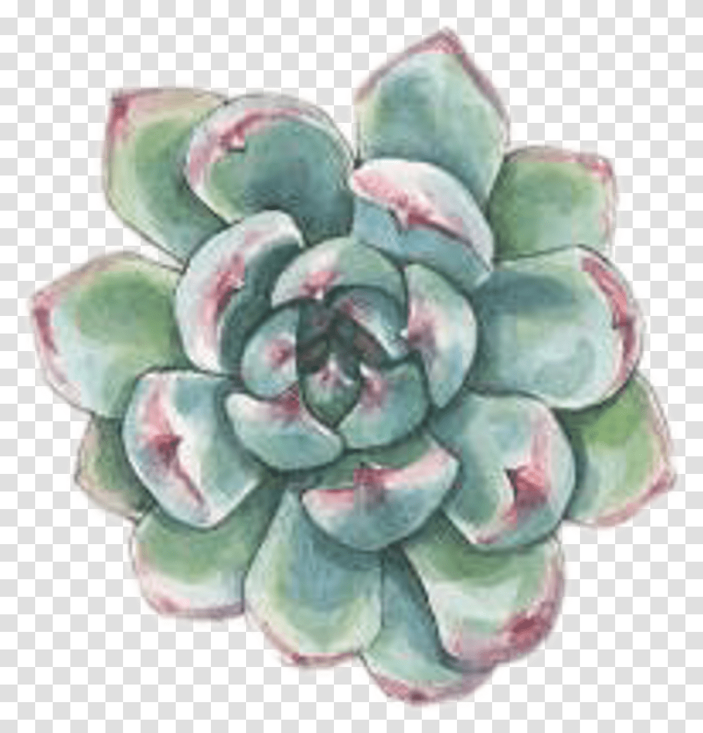 Art Watercolor Succulent Succulents Plant Plants Watercolor Plant, Jewelry, Accessories, Accessory, Brooch Transparent Png