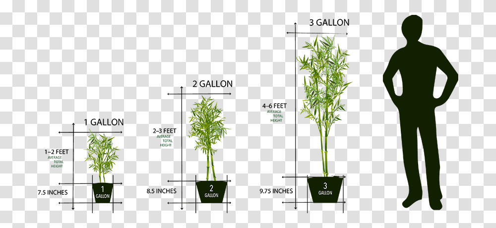 Artemide Tolomeo Micro Vs Mini, Person, Vegetation, Plant, Grass Transparent Png