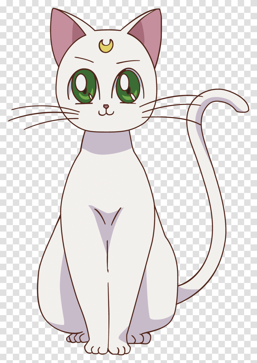 Artemis Gato Sailor Moon, Cat, Pet, Mammal, Animal Transparent Png