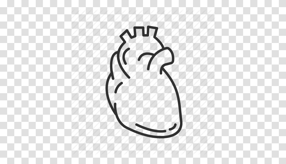 Arteries Cardiovascular System Circulatory Pump Heart Human, Footwear, Suit, Overcoat Transparent Png