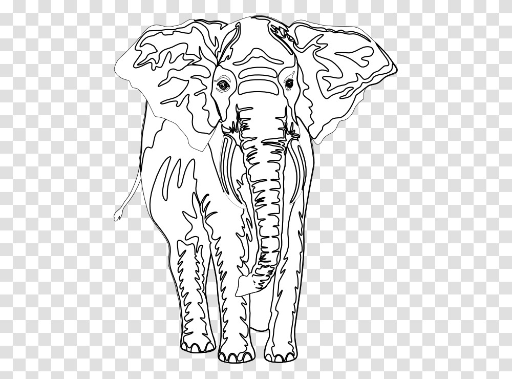 Artfavor Elephant Black White Line Art 555px Indian Elephant, Drawing, Wildlife, Animal, Mammal Transparent Png