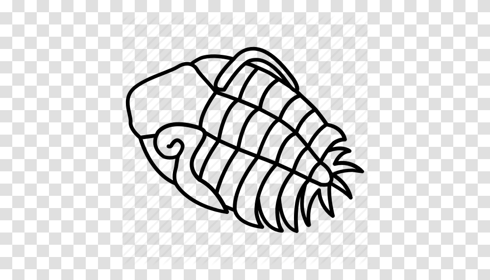 Arthropod Creature Fossil Prehistoric Sea Trilobite Icon, Hand, Rug, Weapon Transparent Png