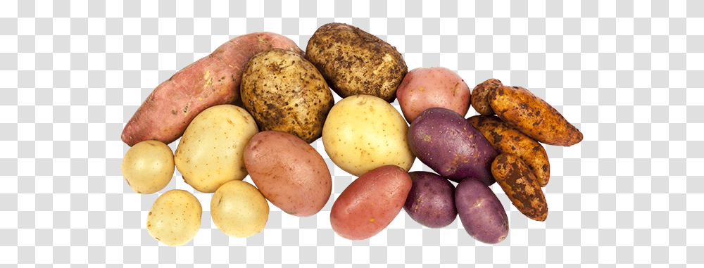 Article Potatoessystem Different Potatoes, Vegetable, Plant, Food, Bread Transparent Png
