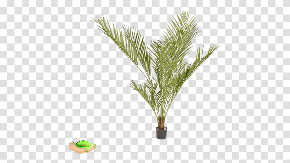 Artificial Areca Palm Daisy, Plant, Tree, Palm Tree, Arecaceae Transparent Png