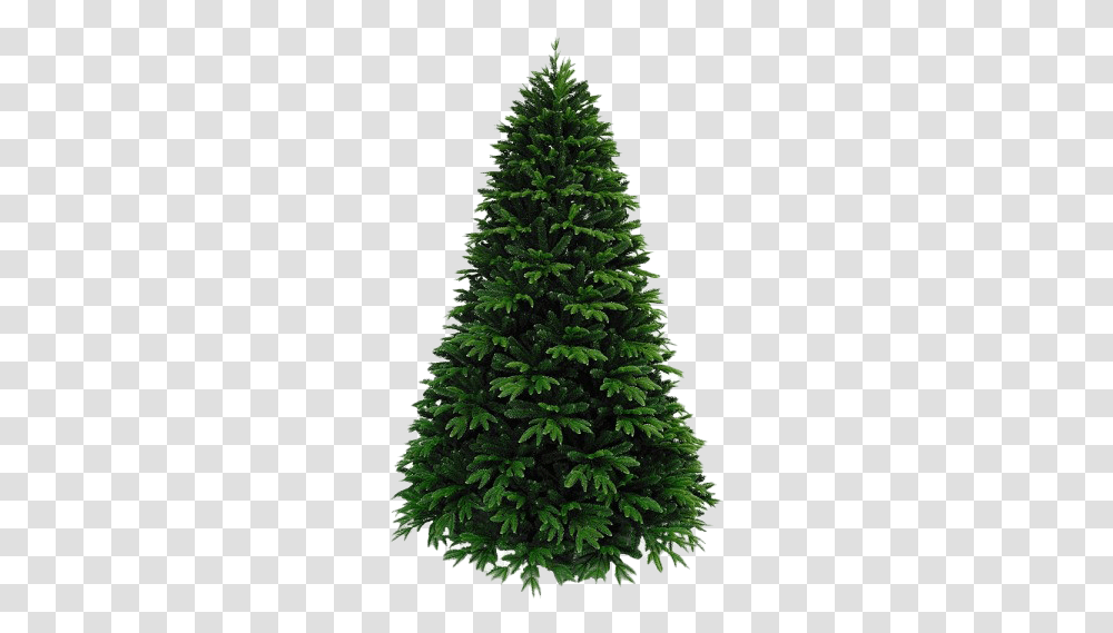 Artificial Christmas Tree Free Download Mart Franklin Pine, Ornament, Plant, Conifer, Fir Transparent Png