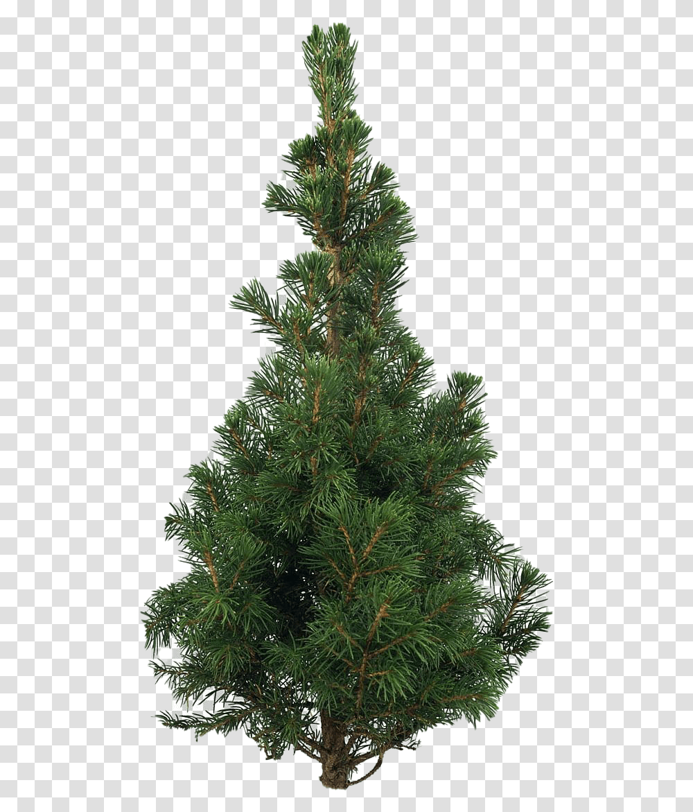 Artificial Christmas Tree Pic Mart Christmas Tree Pine, Ornament, Plant, Conifer, Spruce Transparent Png