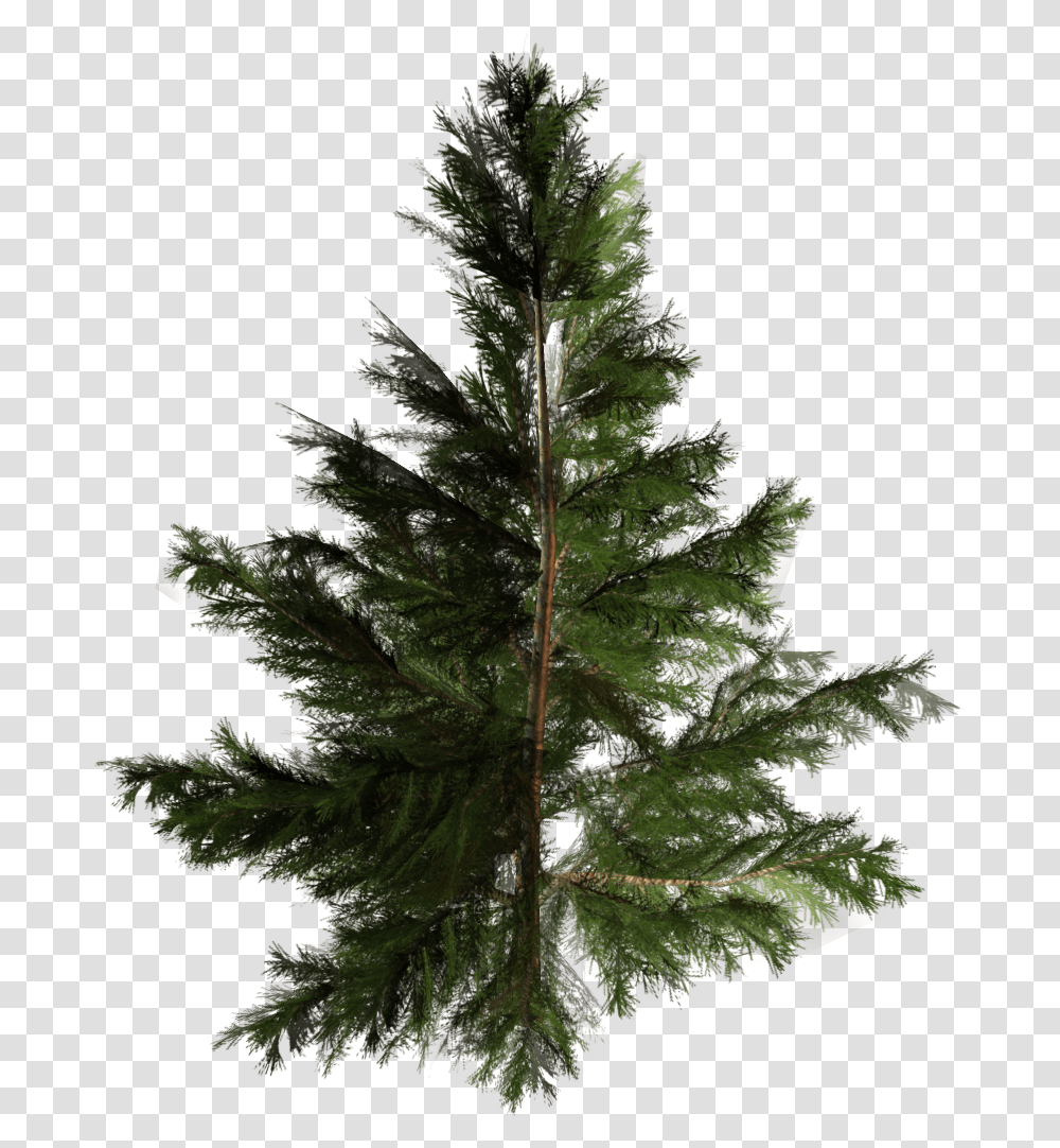 Artificial Christmas Tree Pine Pinales Tree, Leaf, Plant, Fir, Fern Transparent Png