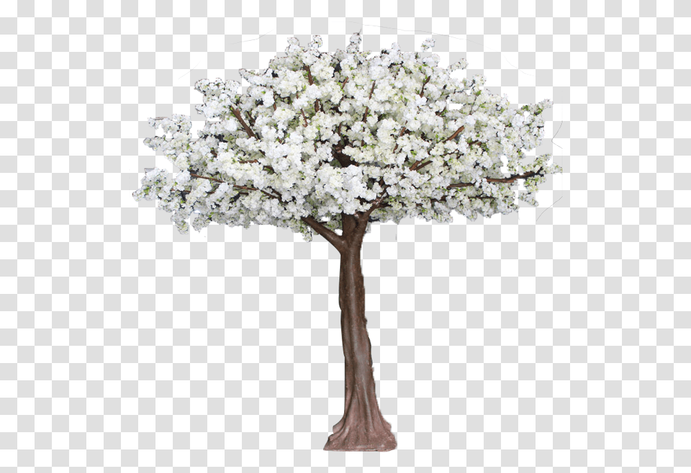 Artificial Decoration Cherry Magnolia Kobus, Plant, Tree, Flower, Blossom Transparent Png