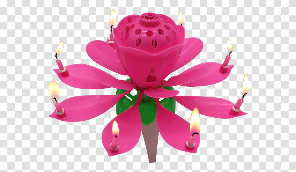 Artificial Flower, Anther, Plant, Candle, Fire Transparent Png