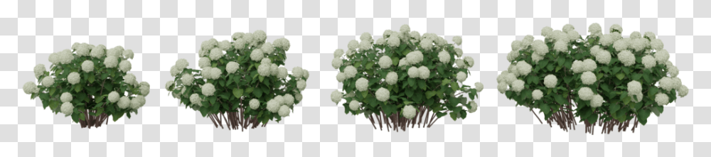 Artificial Flower, Bush, Vegetation, Plant, Cauliflower Transparent Png