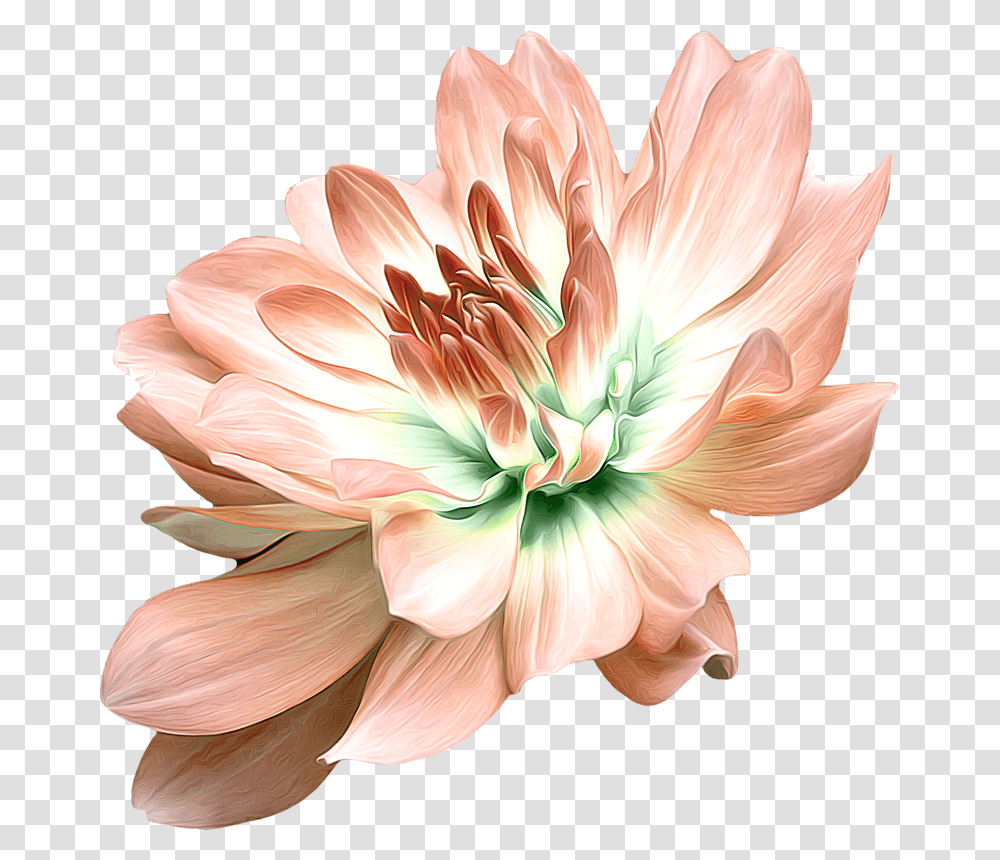Artificial Flower, Dahlia, Plant, Petal, Asteraceae Transparent Png