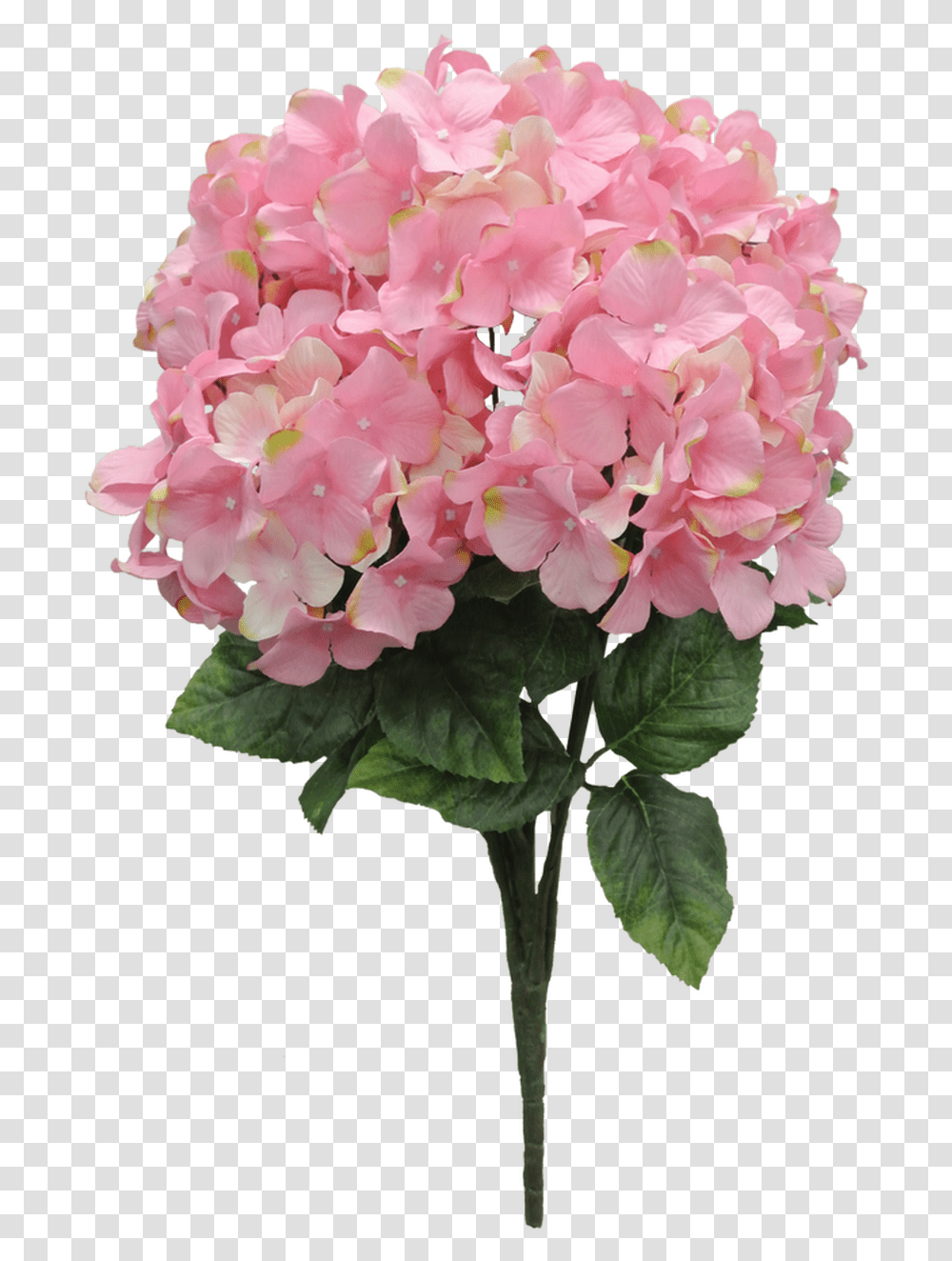 Artificial Flower, Geranium, Plant, Blossom, Flower Arrangement Transparent Png