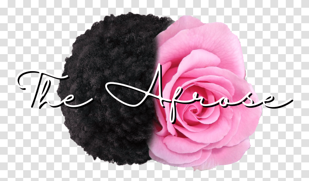 Artificial Flower, Hair, Rose, Plant, Blossom Transparent Png