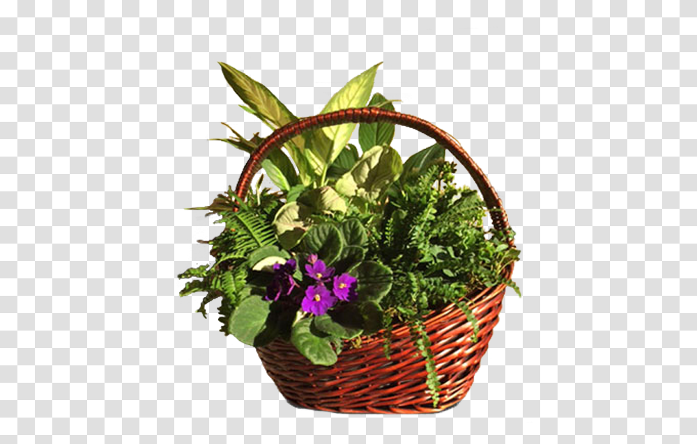 Artificial Flower, Plant, Basket, Potted Plant, Vase Transparent Png