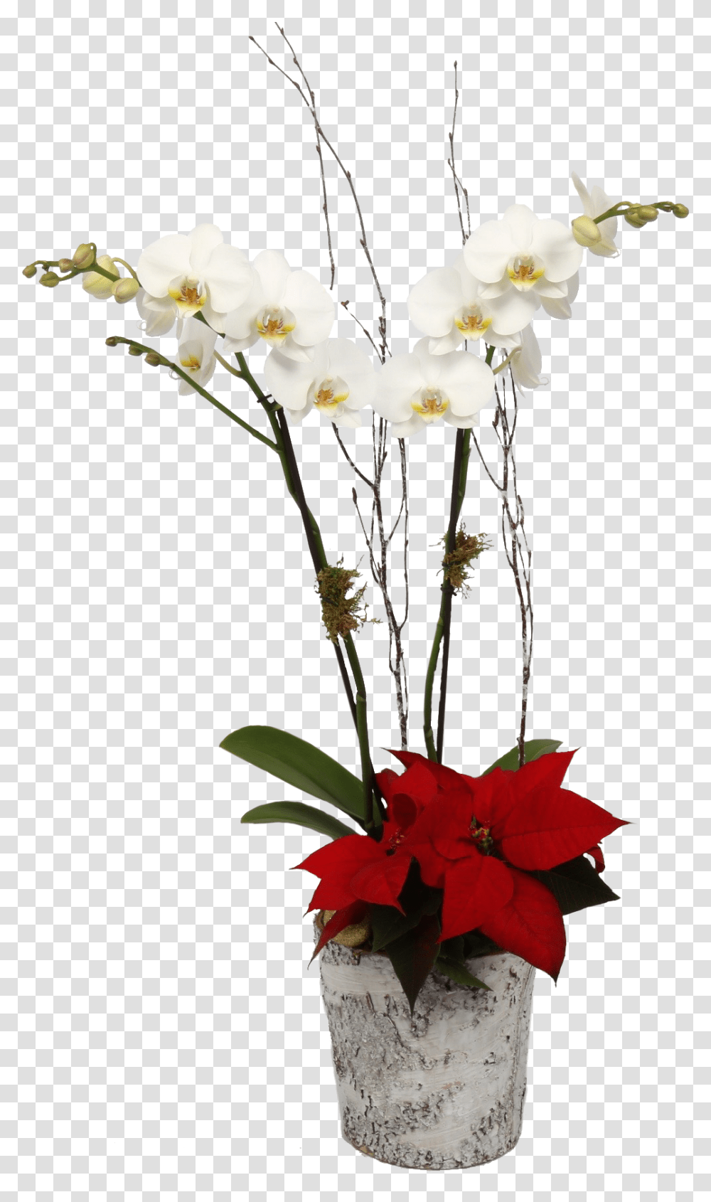 Artificial Flower, Plant, Blossom, Flower Arrangement, Ikebana Transparent Png
