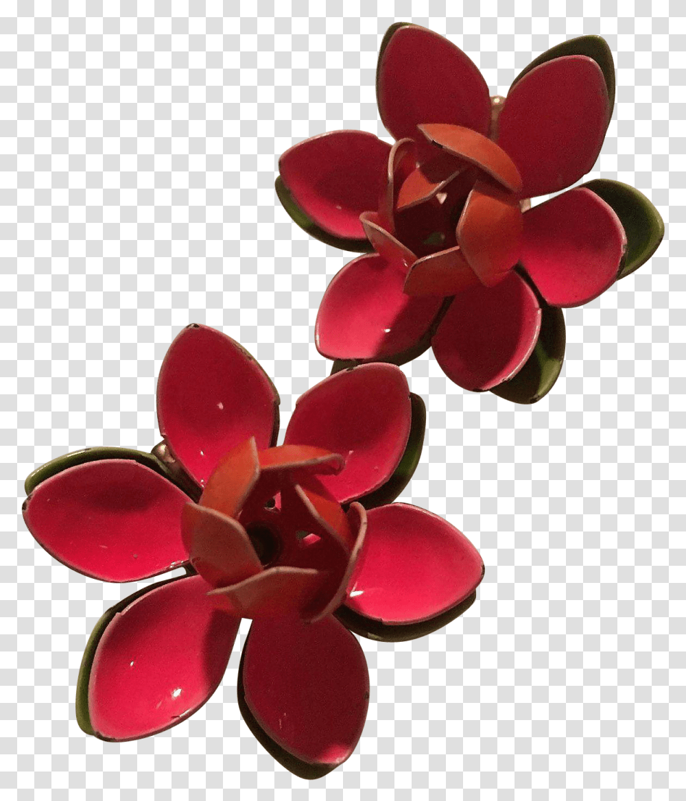 Artificial Flower, Plant, Blossom, Geranium, Petal Transparent Png