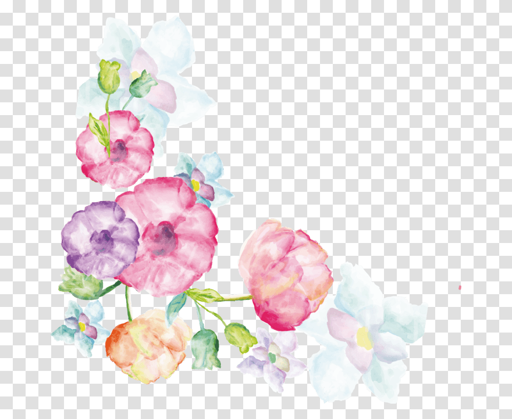 Artificial Flower, Plant, Blossom, Geranium, Rose Transparent Png